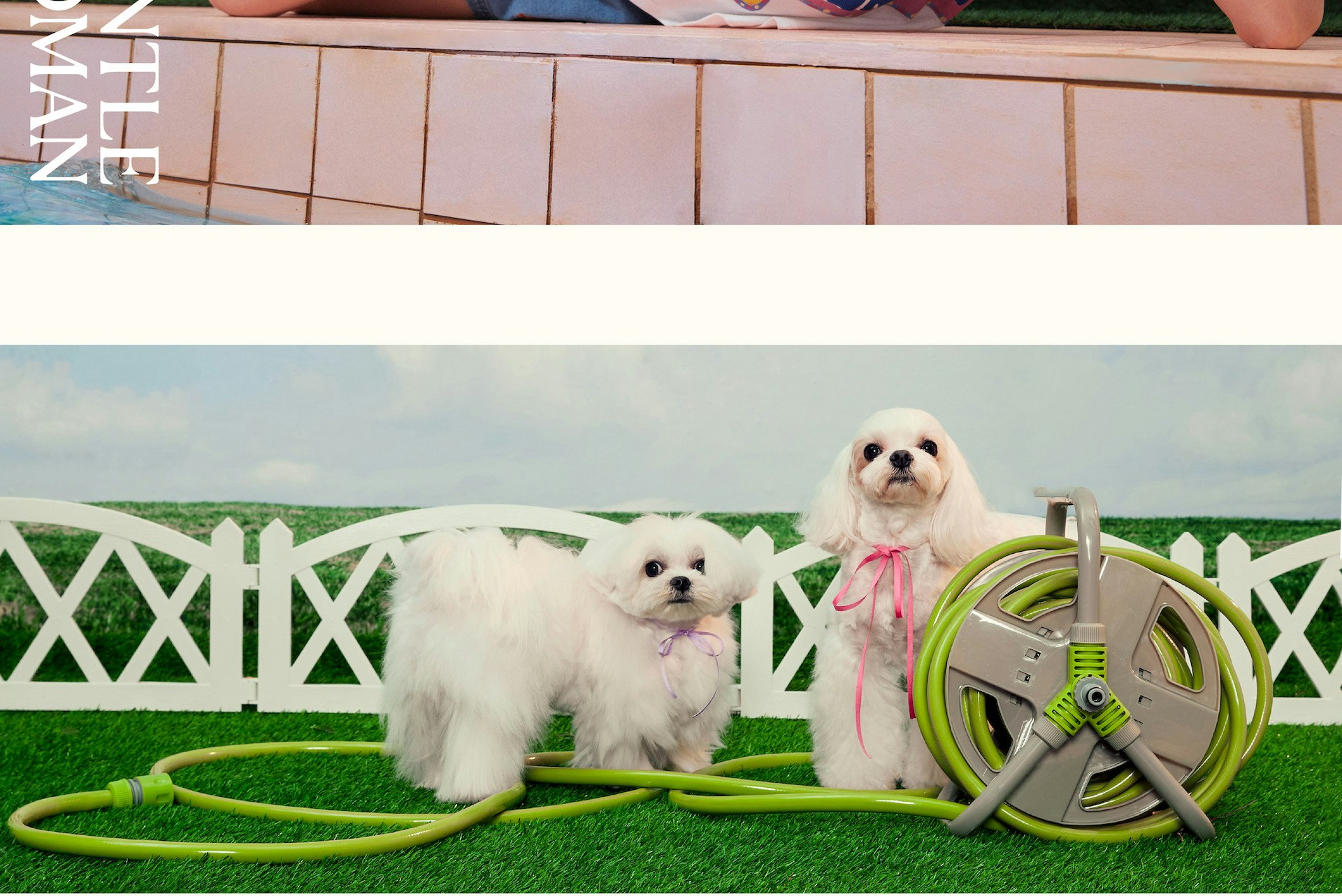 FUR-EVER FRIENDS-4