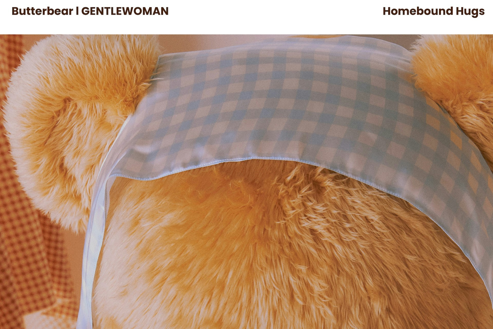 BUTTERBEAR l GENTLEWOMAN: HOMEBOUND HUGS-4