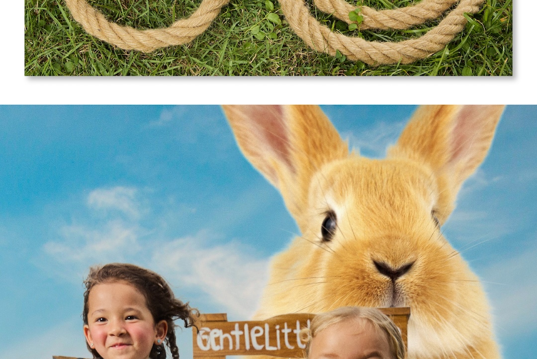 head-banner