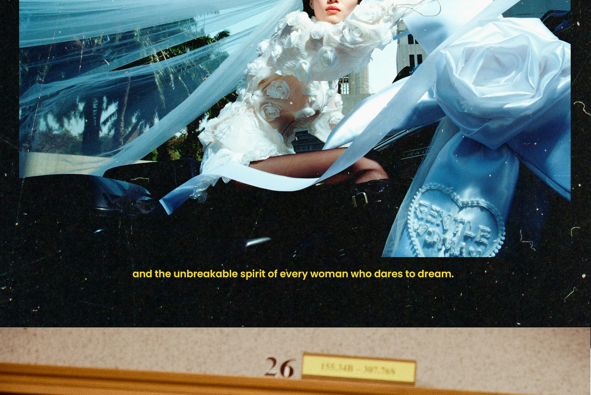 BRIDE ON THE RUN-8