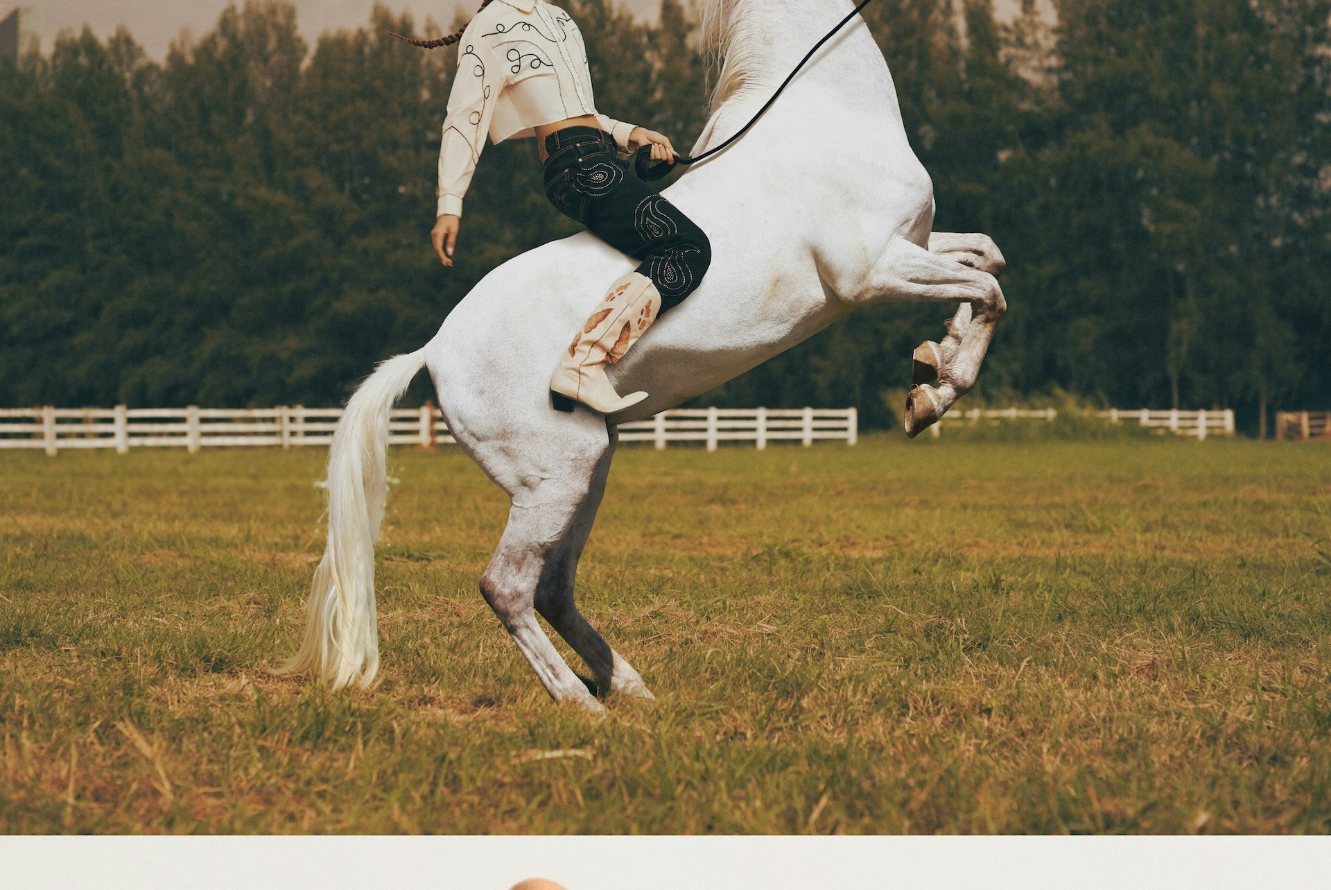 DRY CLEAN ONLY l GENTLEWOMAN-8