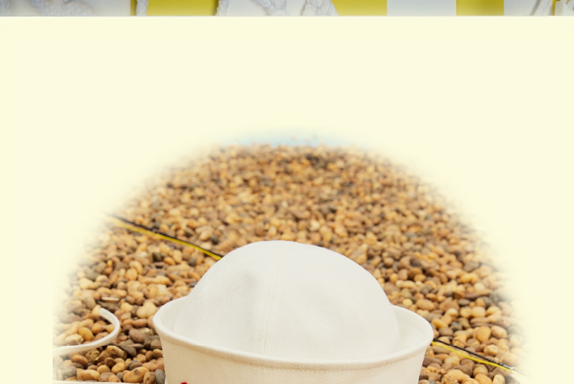 head-banner
