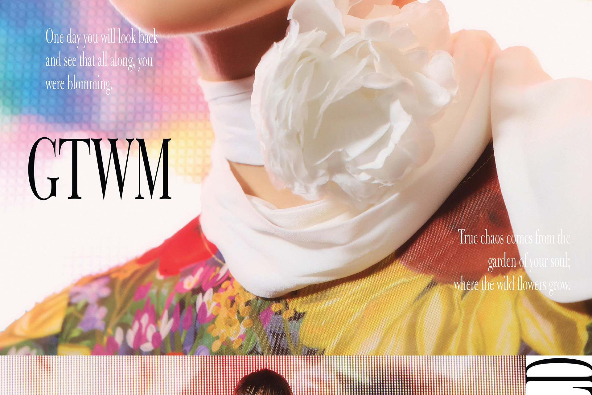 head-banner