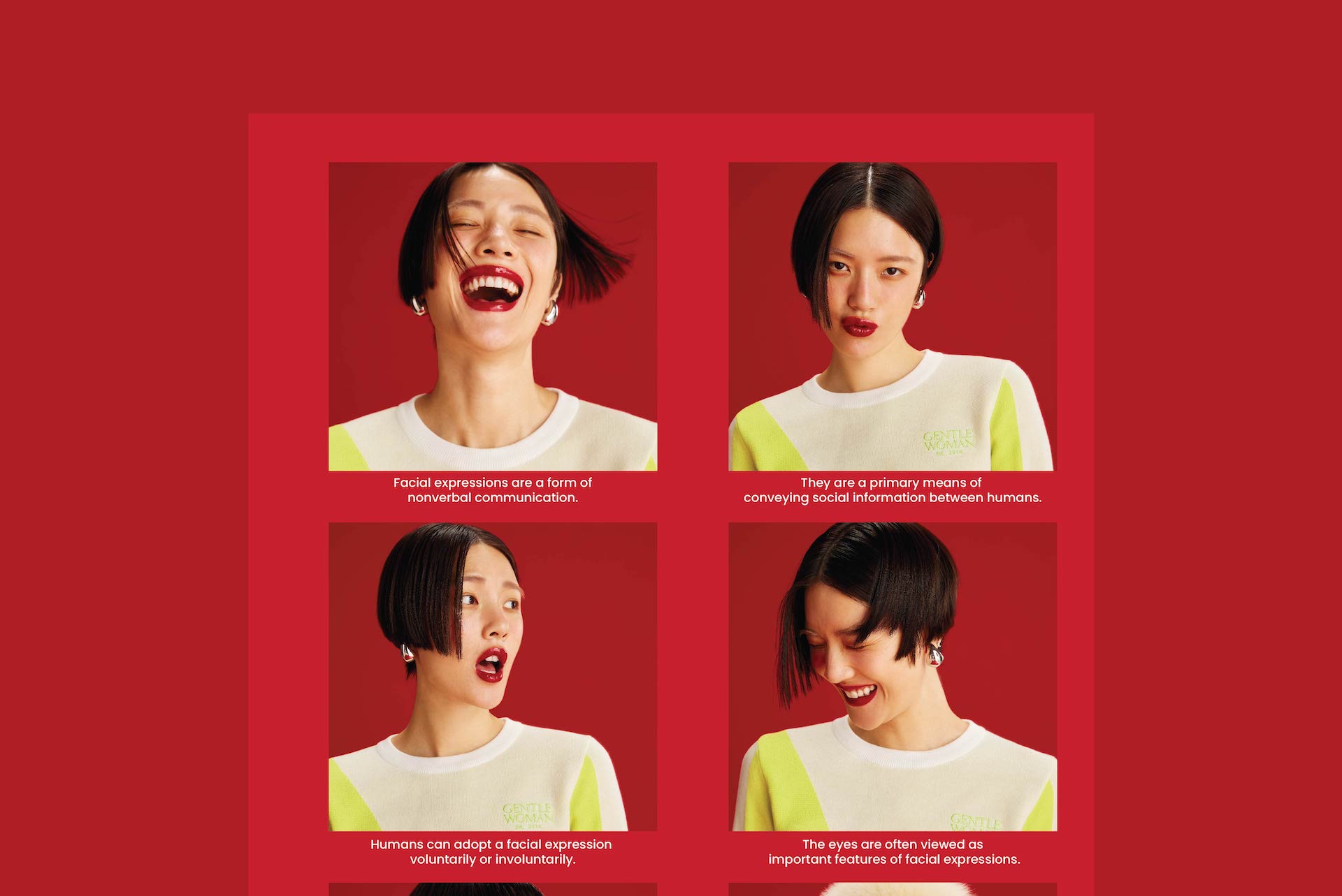 head-banner