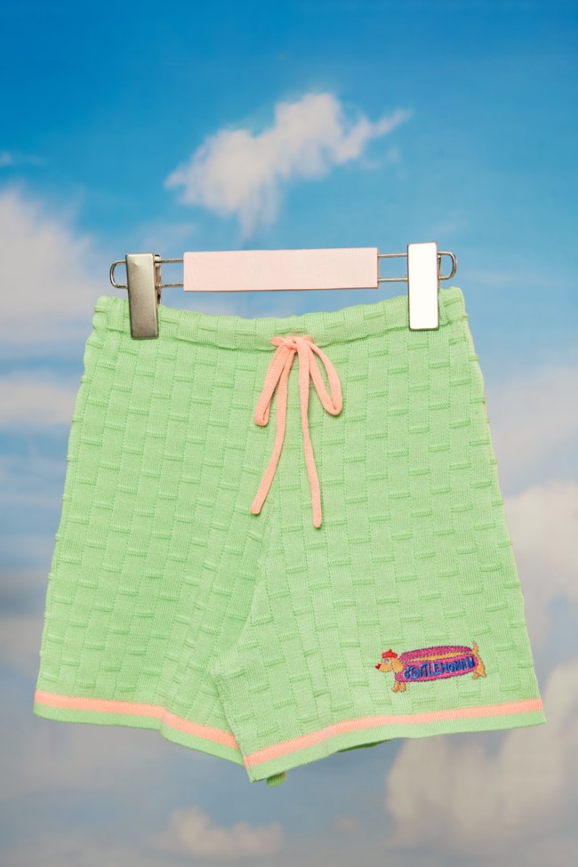 Gentle Dachshund Knit Shorts - LES004 - image