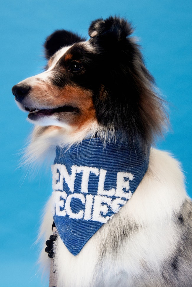 Standard Gentle Species Fluffy Bandana GCY296 GENTLEWOMAN