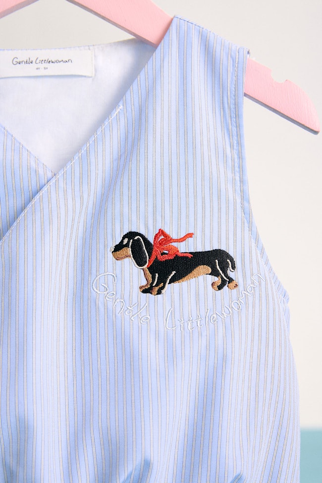 Dachsies Sleeveless Top - LMT070 - image
