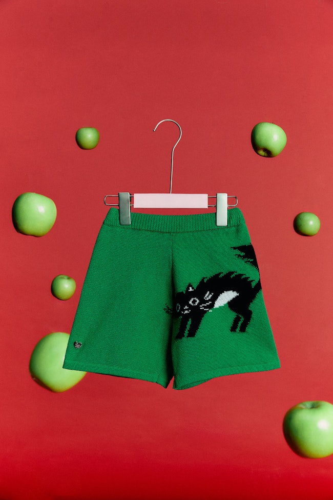 Shocking Cat Shorts - LCS020 - image