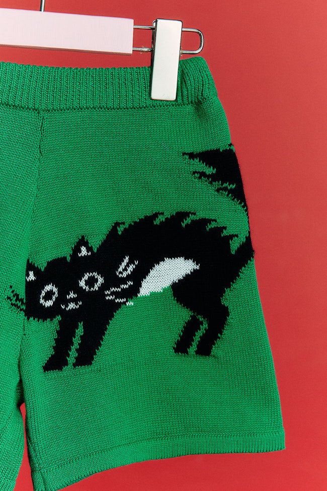 Shocking Cat Shorts - LCS020 - image