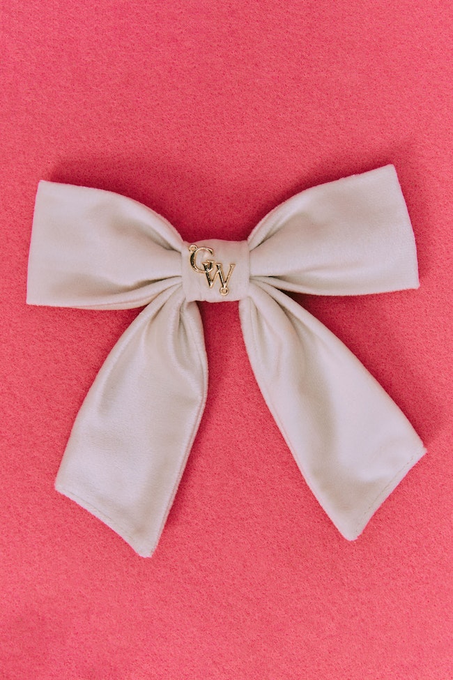 Princess Velvet Ribbon Clip - LCC017 - image