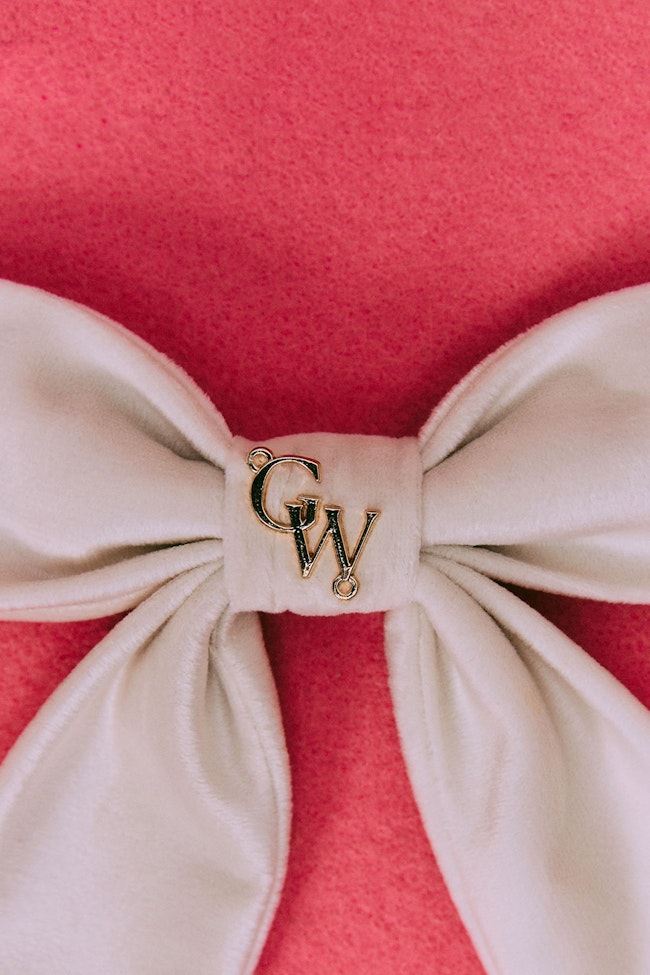 Princess Velvet Ribbon Clip - LCC017 - image