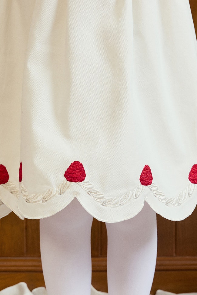 Sugar coated Midi Skirt - LW22247 - image